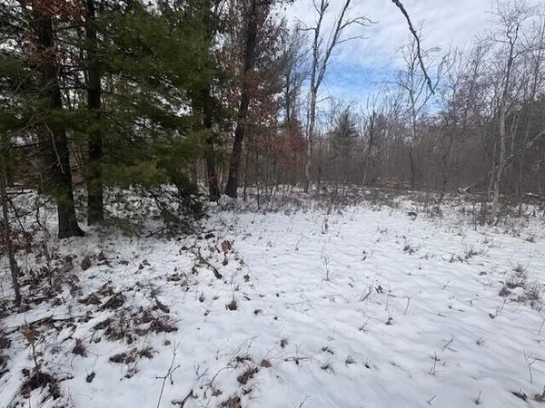 $27,900 | North 5th Avenue, Marion, MI 49665