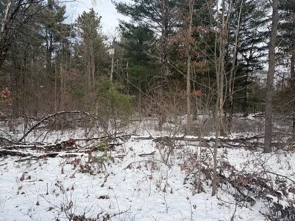 $27,900 | North 5th Avenue, Marion, MI 49665