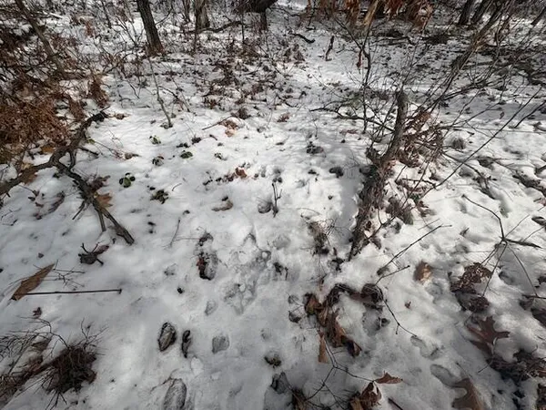 $27,900 | North 5th Avenue, Marion, MI 49665