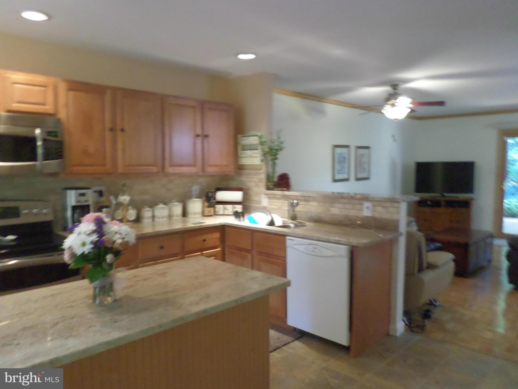 1890 Winterport Cluster Reston, VA 20191 - Photo 13 of 29 Kitchen