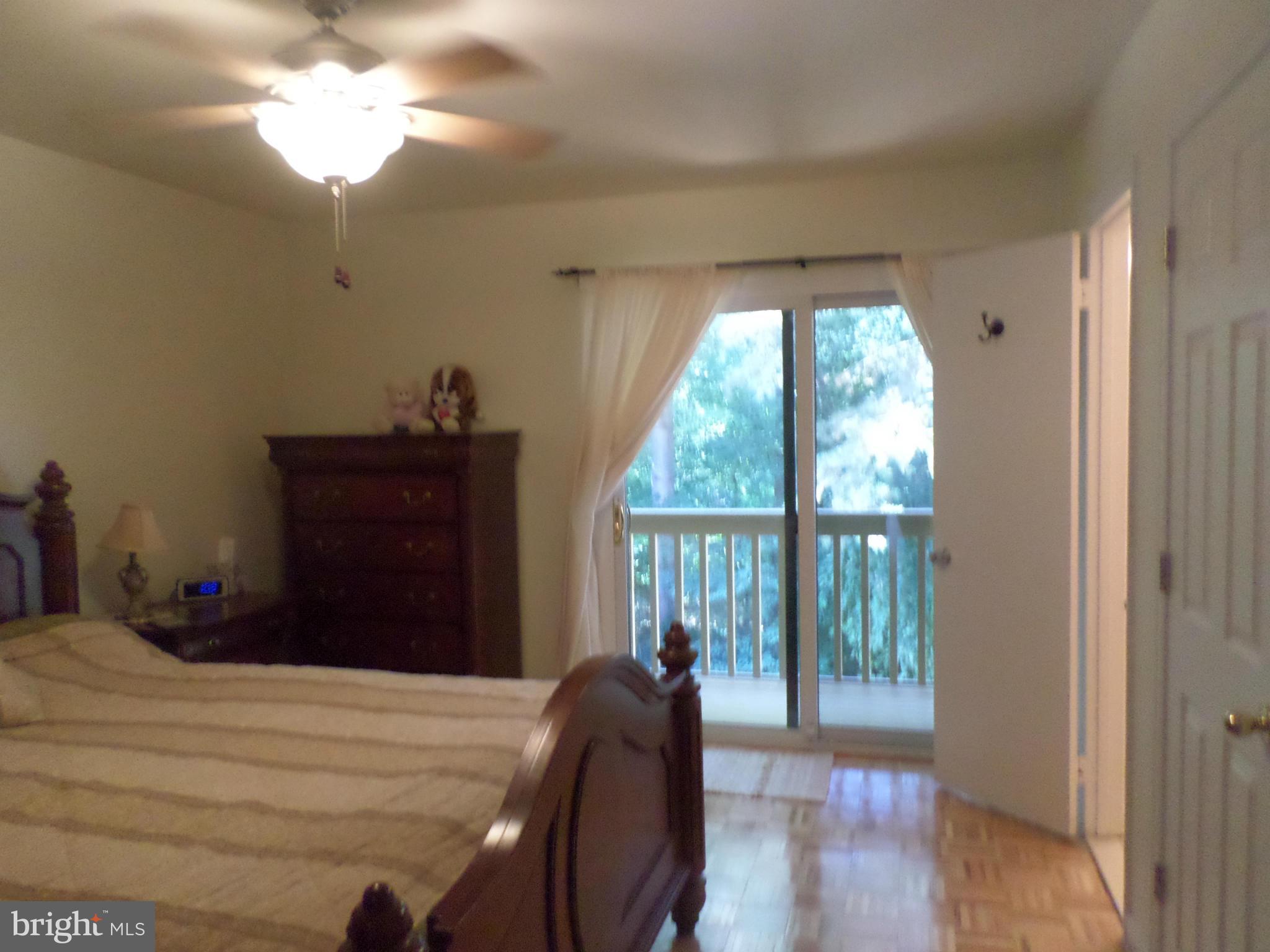 1890 Winterport Cluster Reston, VA 20191 - Photo 16 of 29 Bedroom (Master)