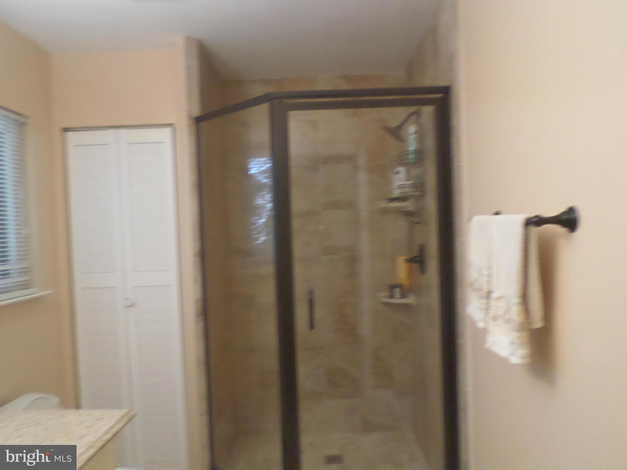 1890 Winterport Cluster Reston, VA 20191 - Photo 17 of 29 Bath (Master)