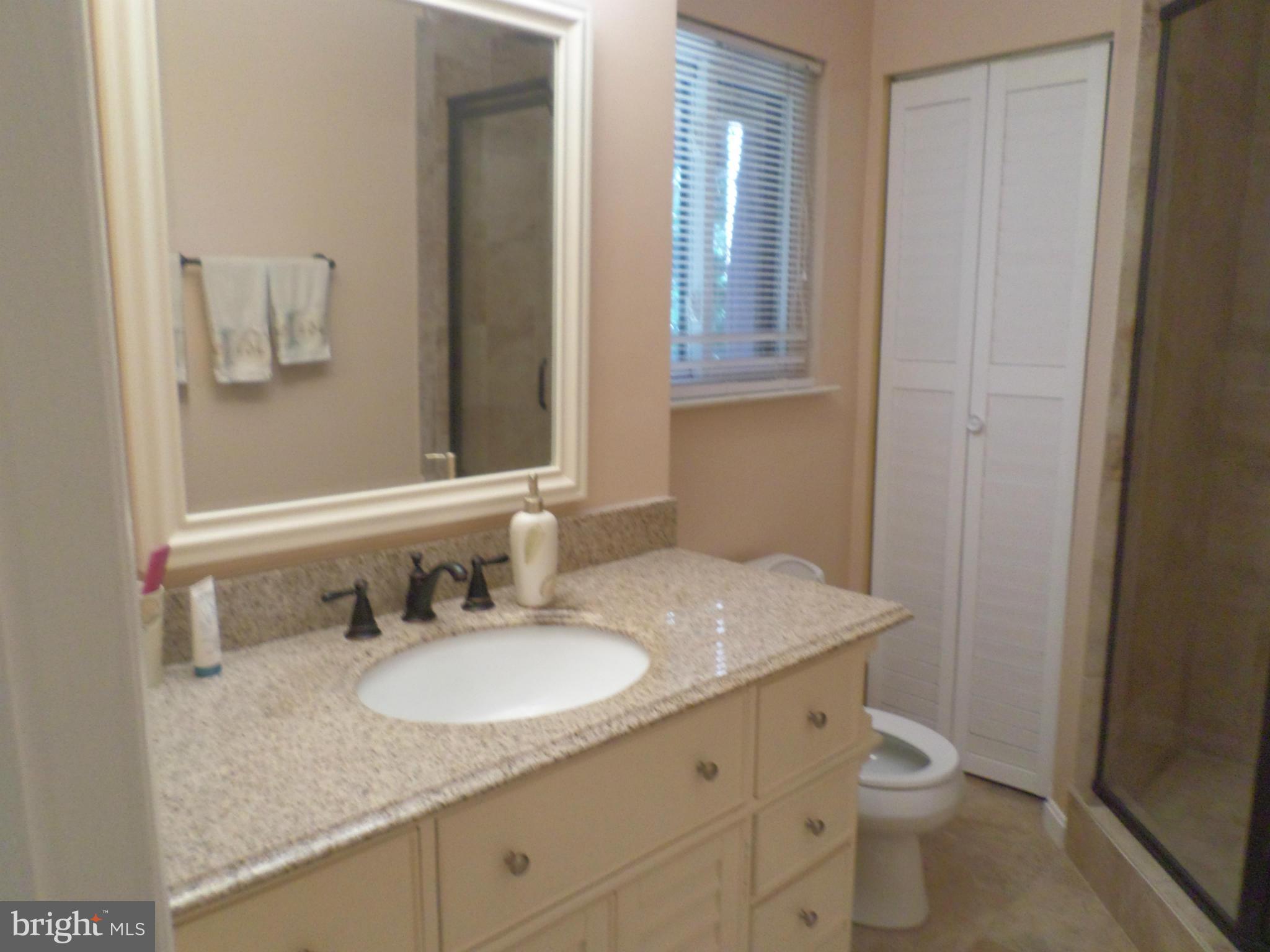 1890 Winterport Cluster Reston, VA 20191 - Photo 18 of 29 Bath (Master)