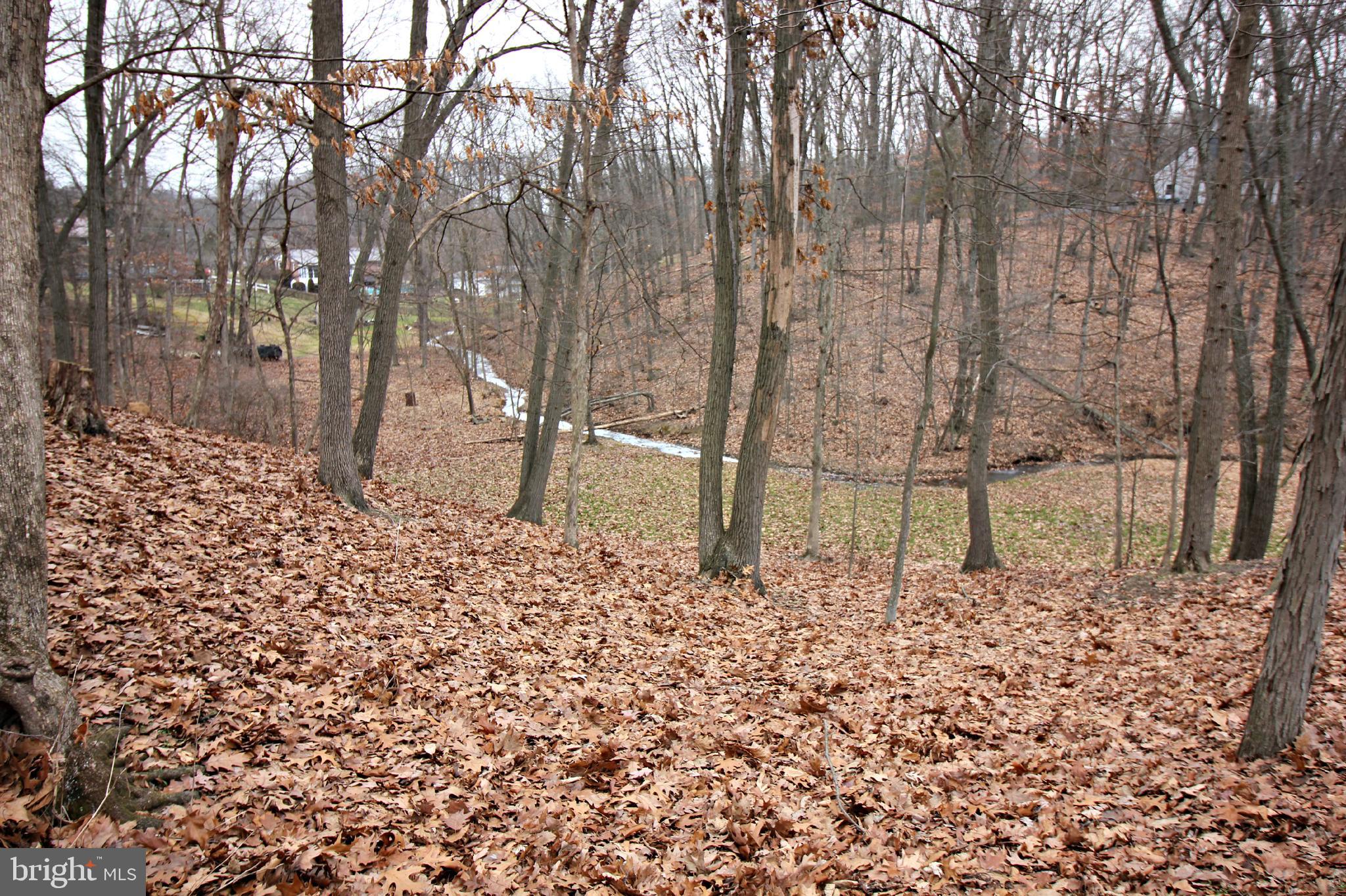 Lot 27 Forest Road Chambersburg, PA 17202 - Photo 3 of 9
