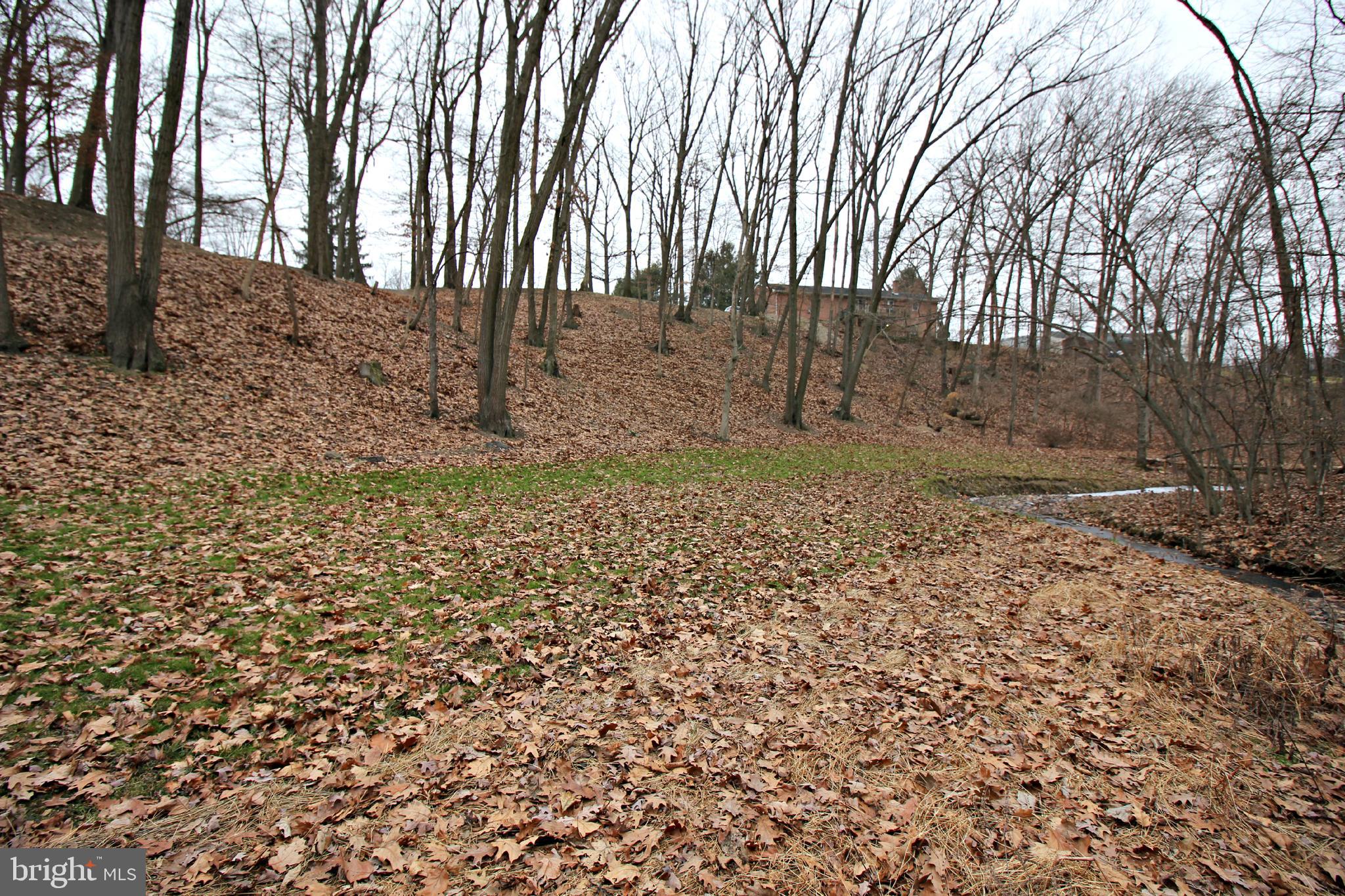 Lot 27 Forest Road Chambersburg, PA 17202 - Photo 4 of 9