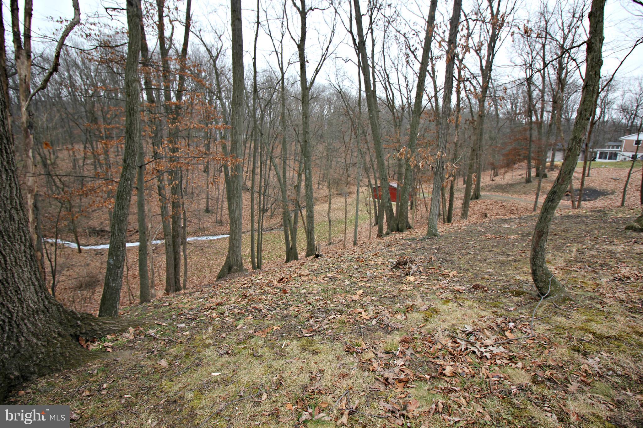 Lot 27 Forest Road Chambersburg, PA 17202 - Photo 7 of 9