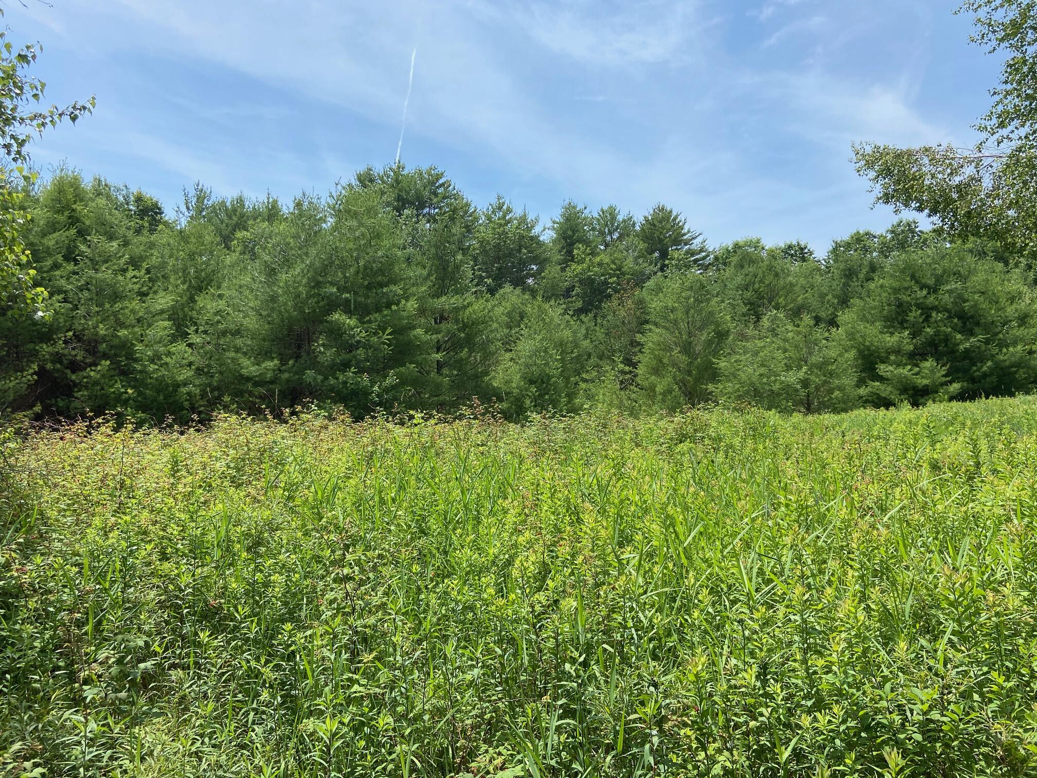 15 Coltons Way Saco, ME 04072 - Photo 2 of 26 IMG_2784
