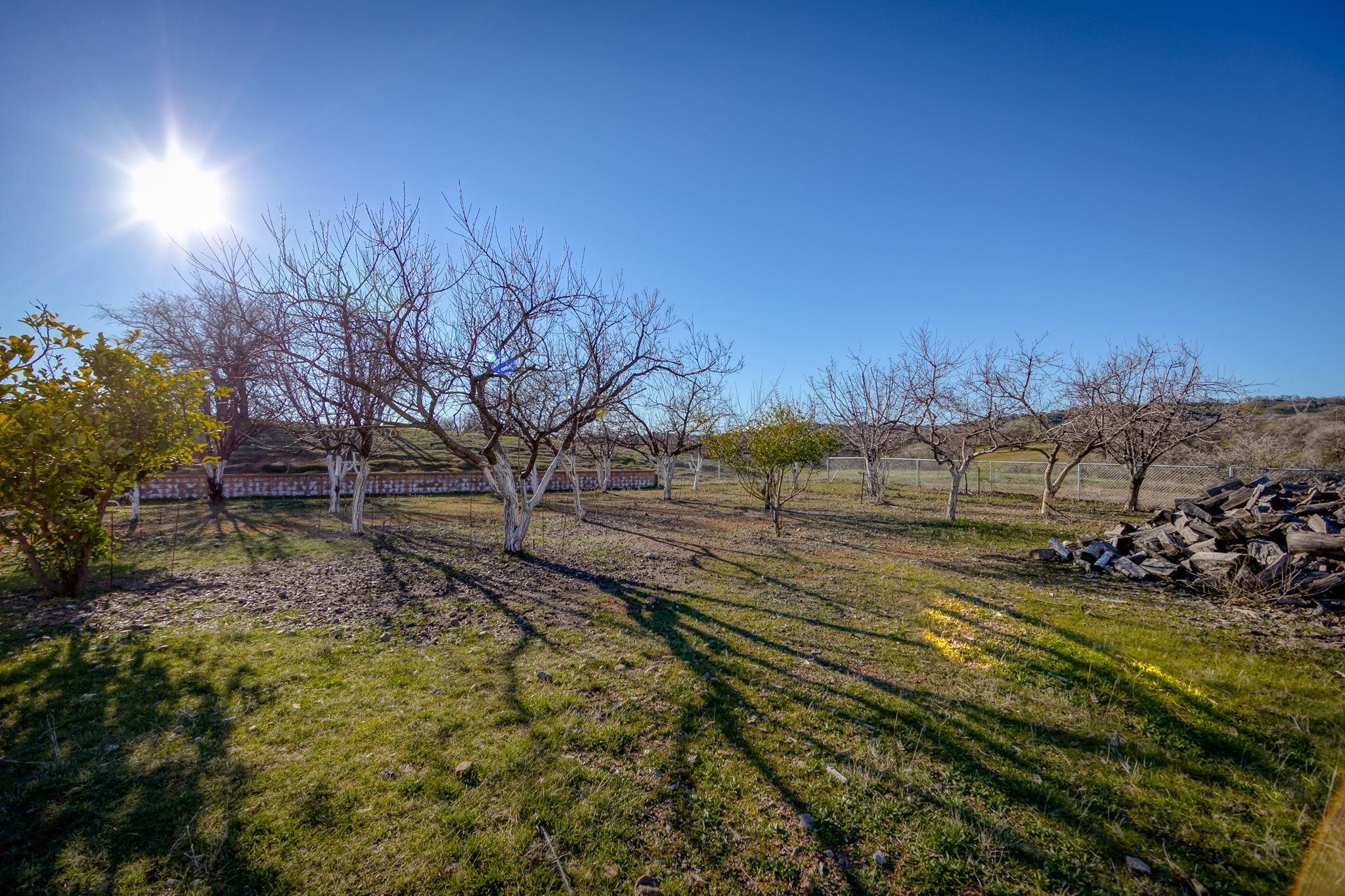18240 Riverview Ranch Road Red Bluff, CA 96080 - Photo 34 of 75 Gallery Image 34