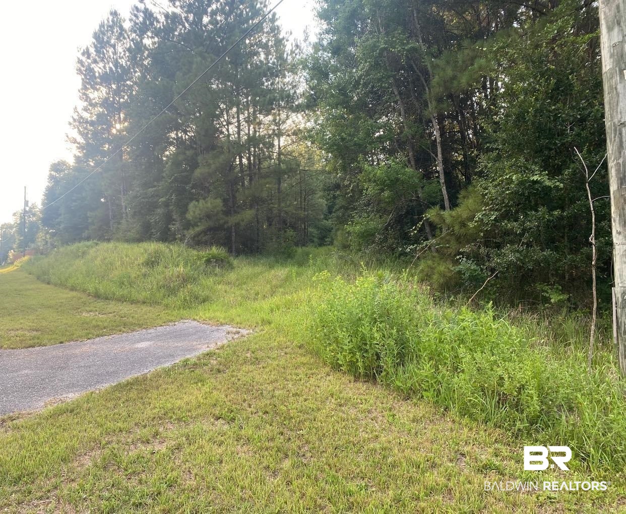 6518 Pine Street Eight Mile, AL 36613 - Photo 2 of 2