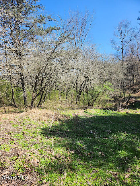 495 Ritchey Bridge Road Everett, PA 15537 - Photo 8 of 27 Gallery Image 8