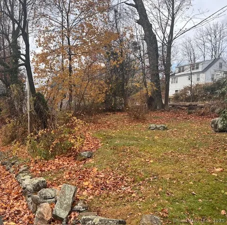 a view of a yard with trees