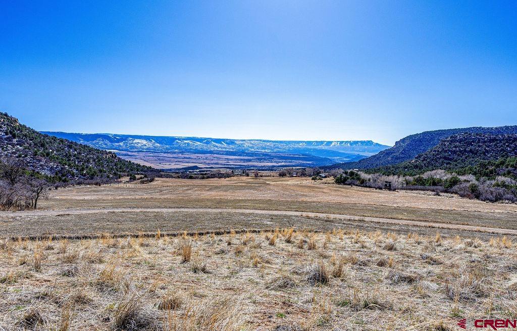 18726 58 6/10 Road Collbran, CO 81624 - Photo 23 of 38
