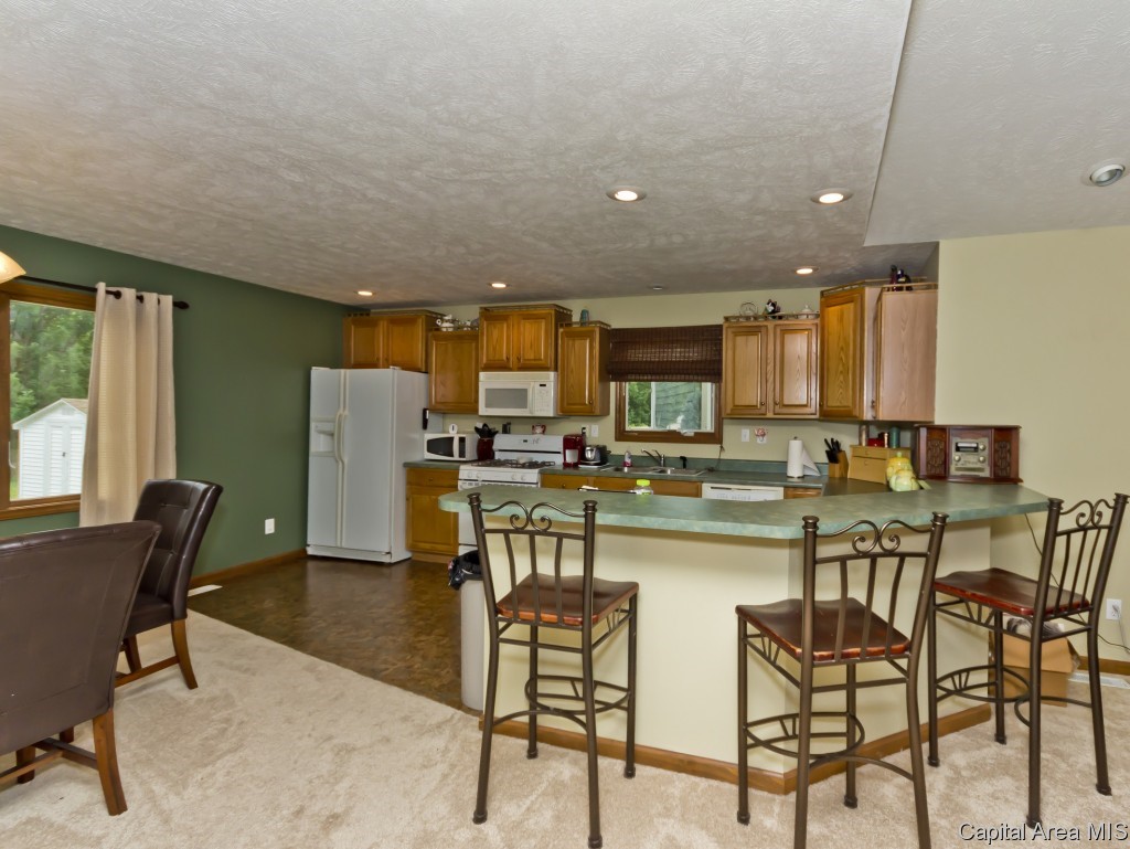 803 Bitterroot Drive Athens, IL 62613 - Photo 11 of 28 Gallery Image 11