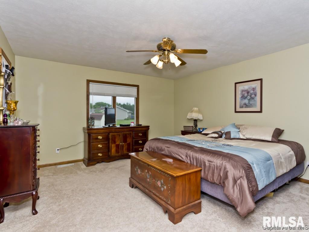 803 Bitterroot Drive Athens, IL 62613 - Photo 15 of 28 Gallery Image 15