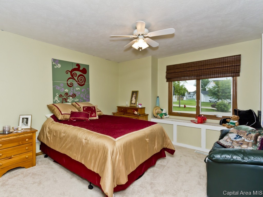 803 Bitterroot Drive Athens, IL 62613 - Photo 17 of 28 Gallery Image 17