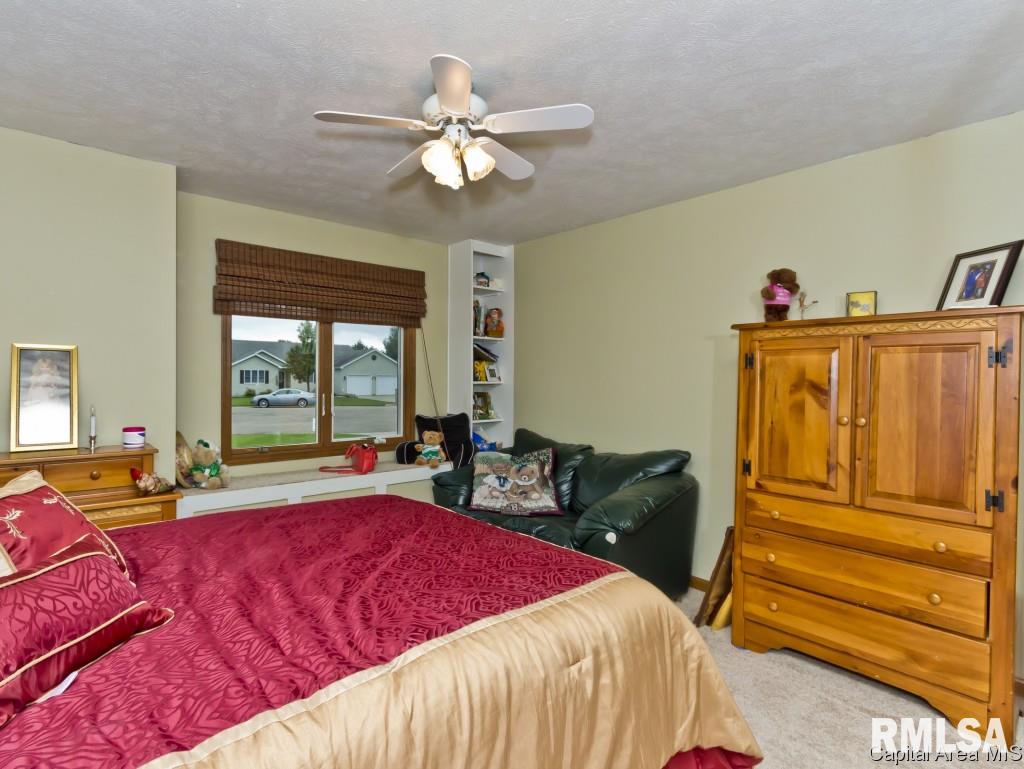803 Bitterroot Drive Athens, IL 62613 - Photo 18 of 28 Gallery Image 18