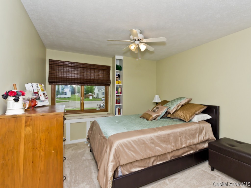 803 Bitterroot Drive Athens, IL 62613 - Photo 19 of 28 Gallery Image 19