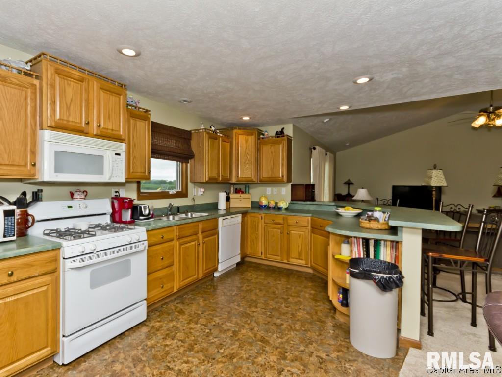 803 Bitterroot Drive Athens, IL 62613 - Photo 9 of 28 Gallery Image 9
