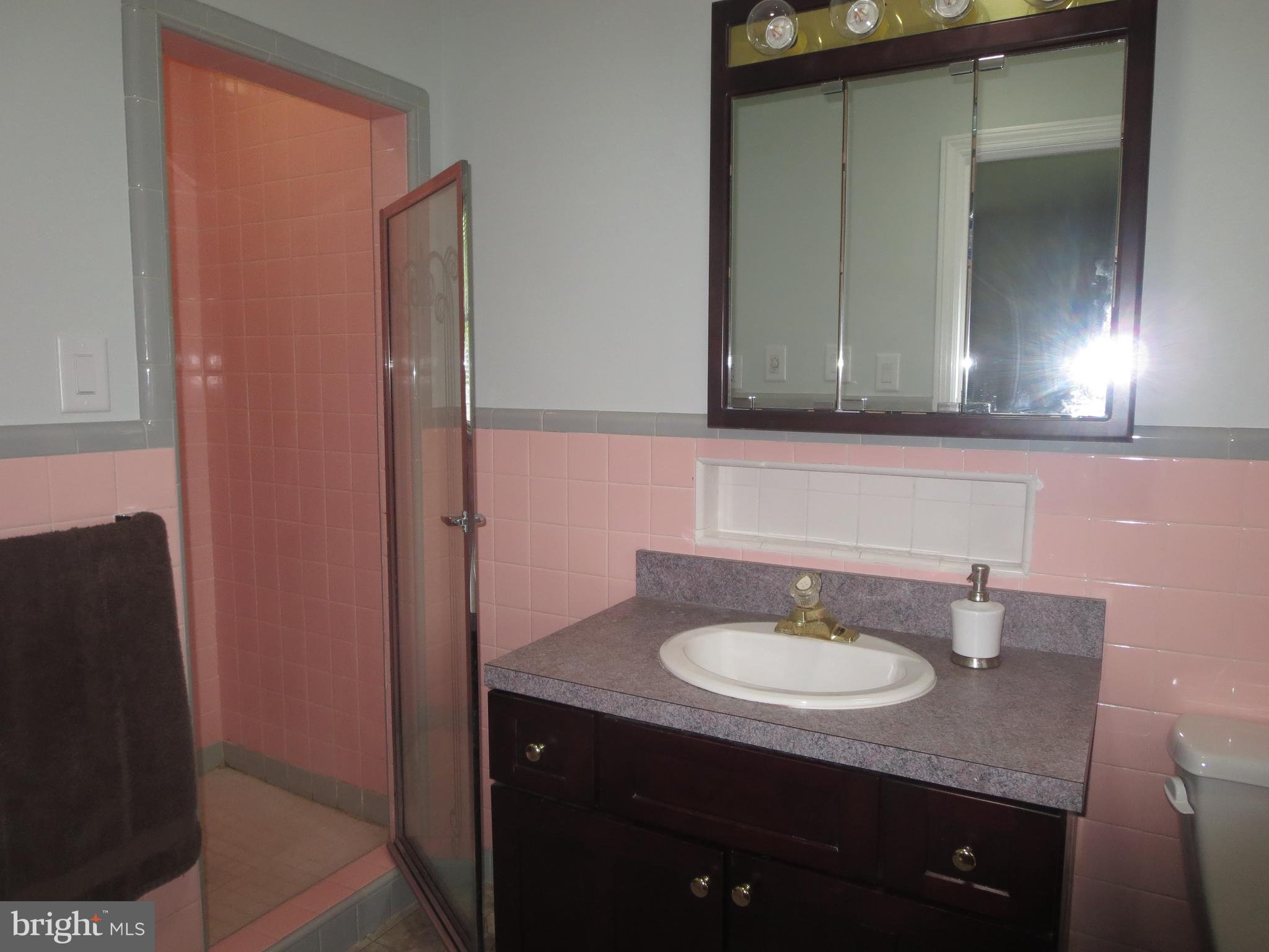 228 Beverly Road Newark, DE 19711 - Photo 12 of 19 Master Bath