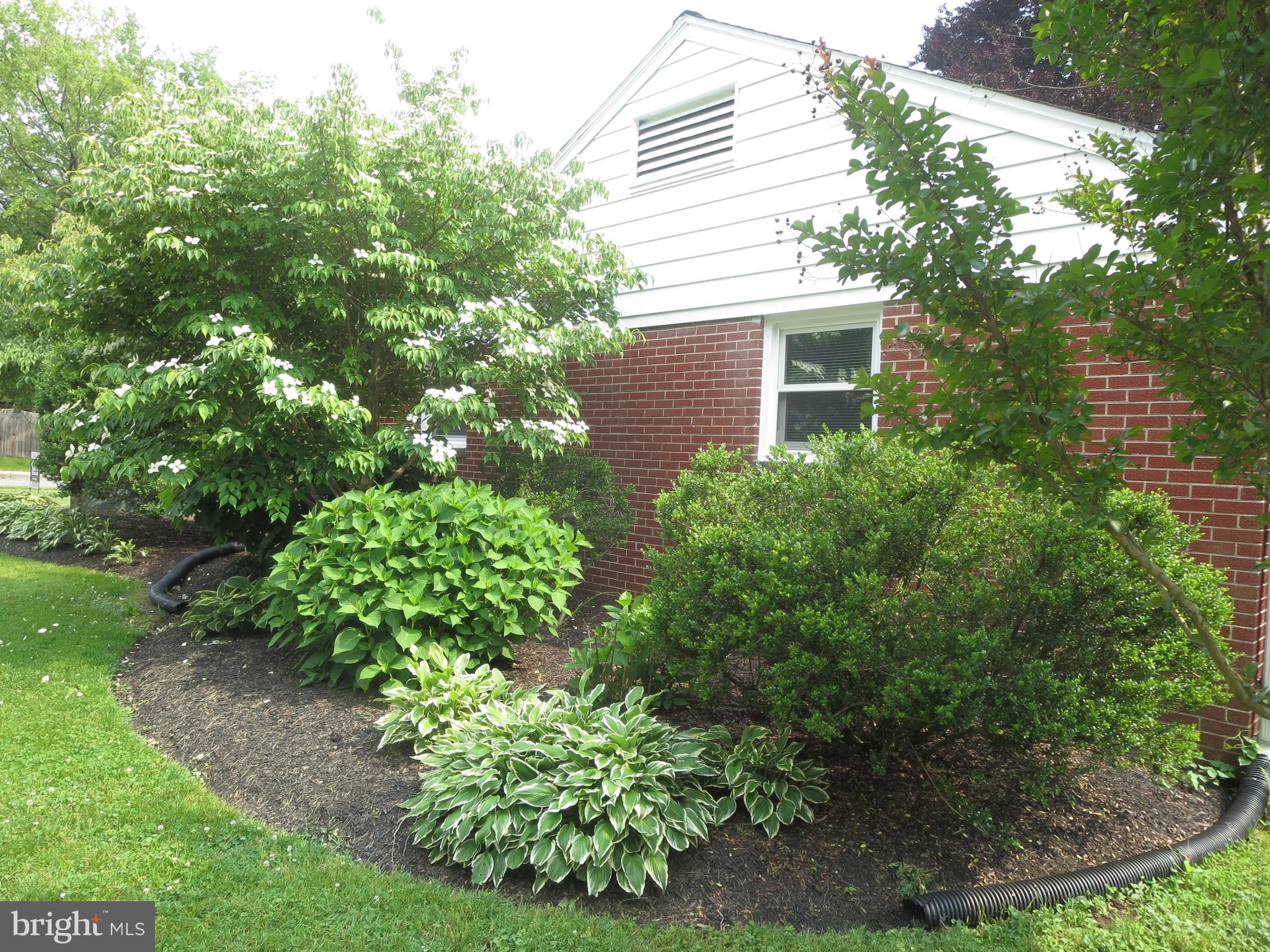 228 Beverly Road Newark, DE 19711 - Photo 18 of 19 North End Landscaping