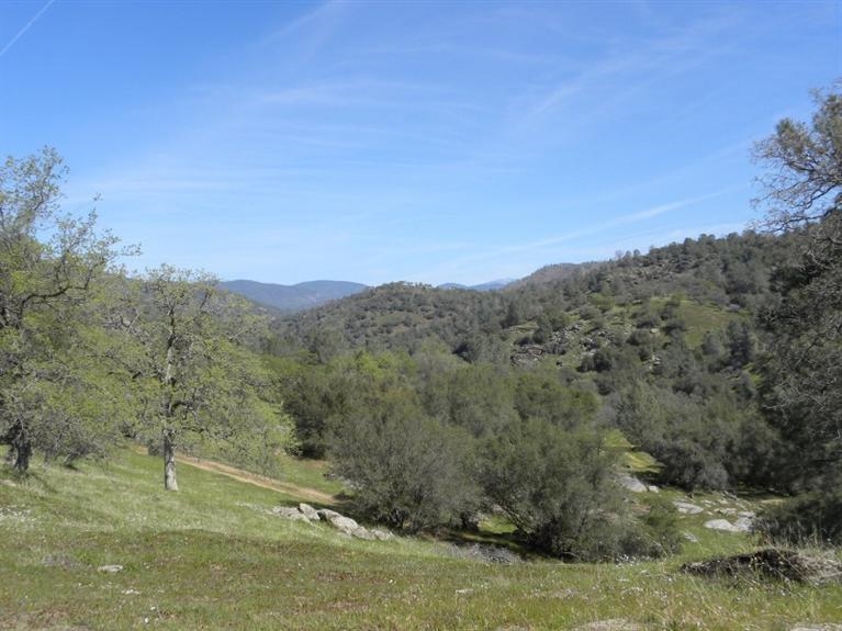 0 Butterfield Stage Road O'Neals, CA 93645 - Photo 10 of 10 Gallery Image 10