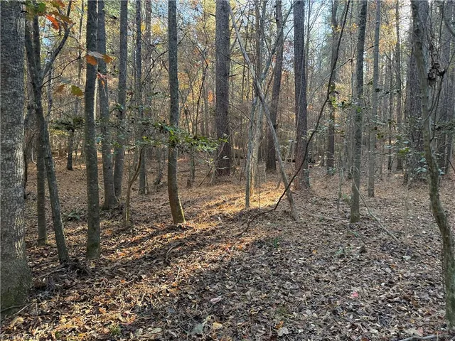 $199,900 | 19.6-acres Willie Road, Seagrove, NC 27341