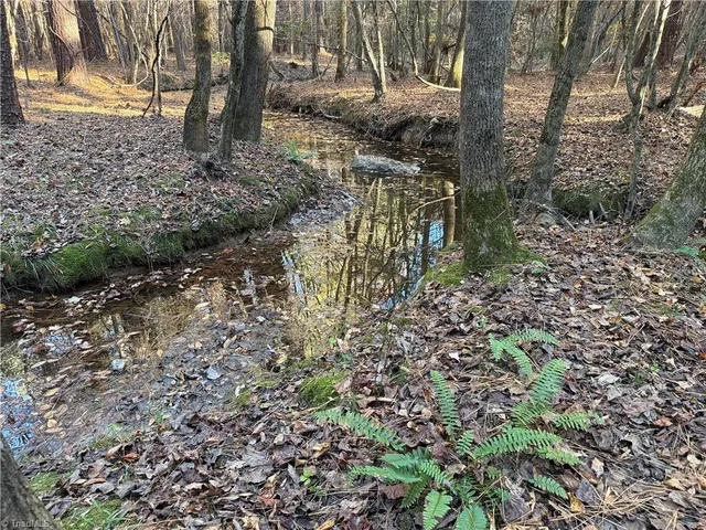 $199,900 | 19.6-acres Willie Road, Seagrove, NC 27341