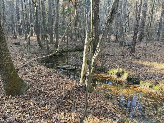 $199,900 | 19.6-acres Willie Road, Seagrove, NC 27341