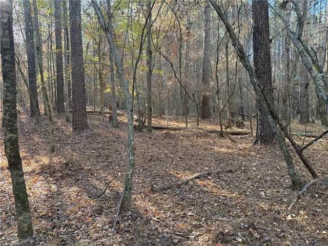 $199,900 | 19.6-acres Willie Road, Seagrove, NC 27341