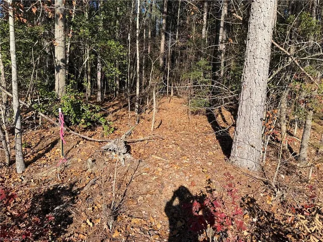 $199,900 | 19.6-acres Willie Road, Seagrove, NC 27341