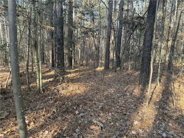 $199,900 | 19.6-acres Willie Road, Seagrove, NC 27341