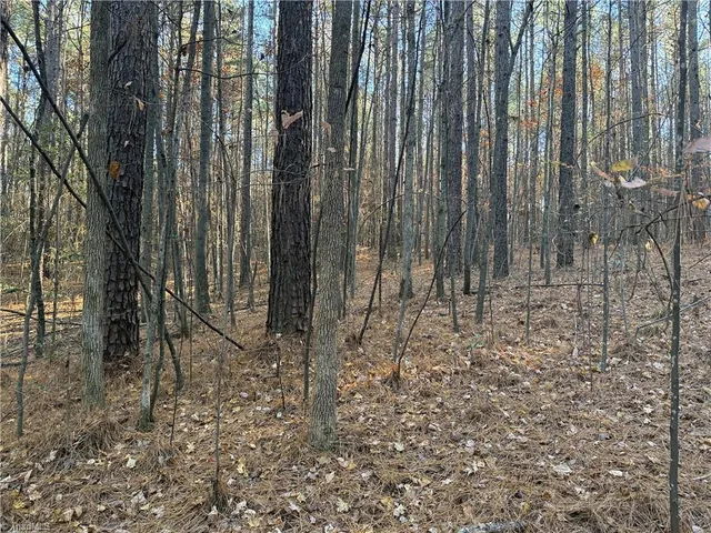 $199,900 | 19.6-acres Willie Road, Seagrove, NC 27341