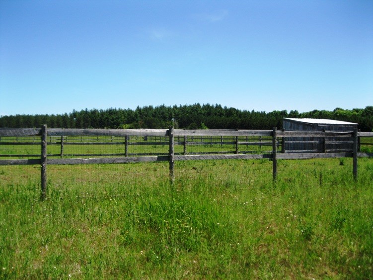 783 Mitchell Road Southeast Kalkaska, MI 49646 - Photo 9 of 38 1802133-8.JPG