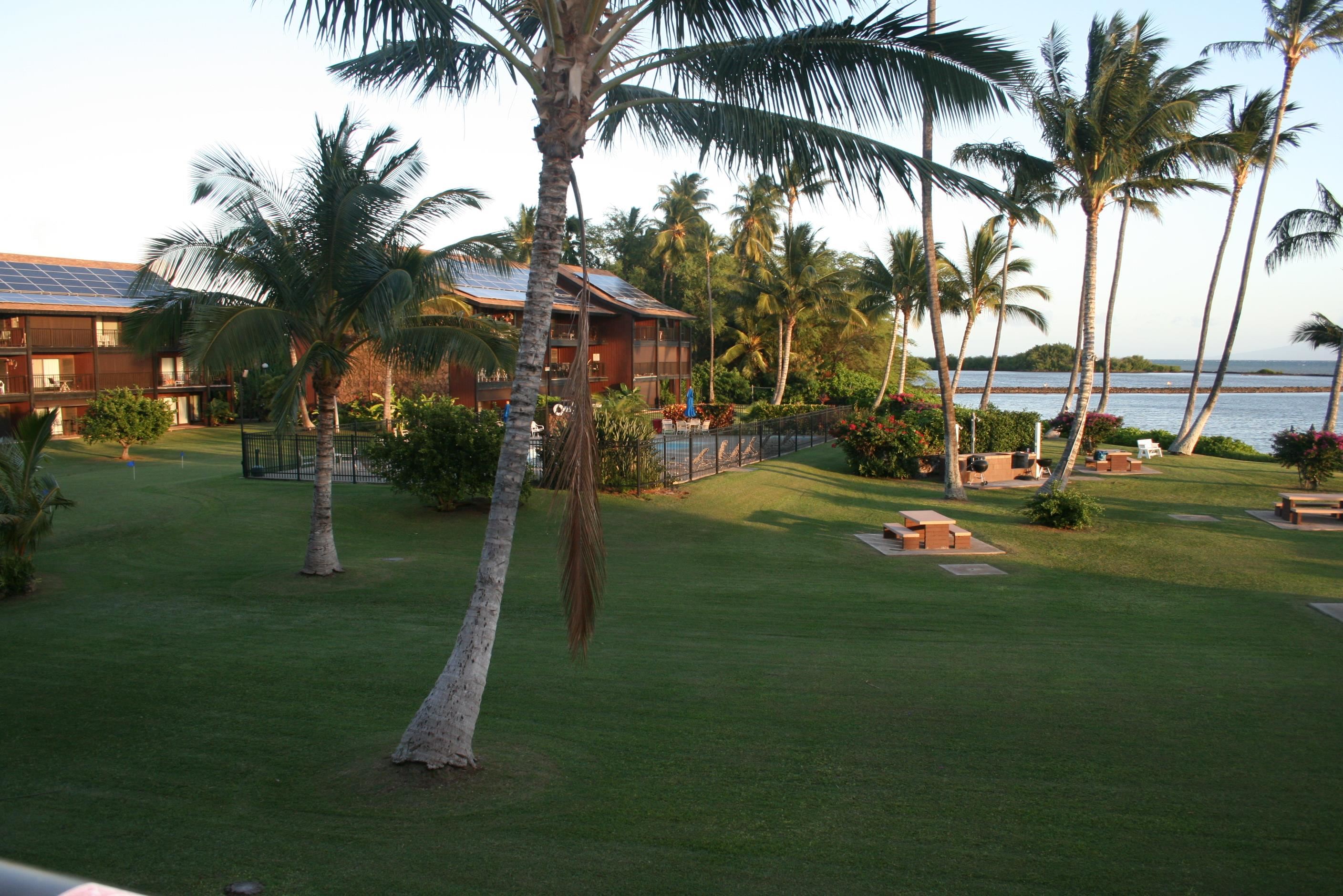 Kamehameha V Highway, Unit 123B Kaunakakai, HI 96748 - Photo 24 of 25 a garden with palm trees