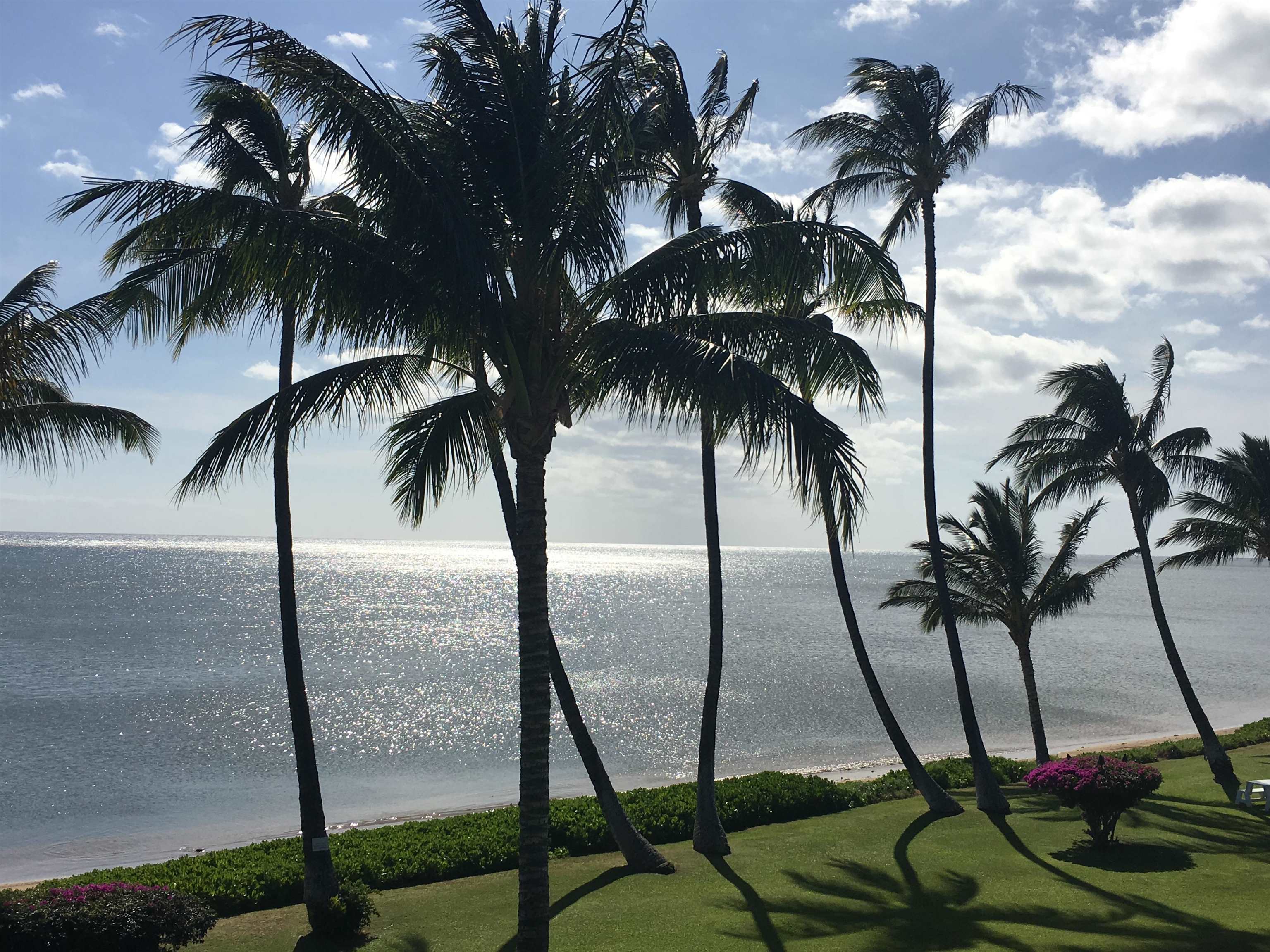 Kamehameha V Highway, Unit 123B Kaunakakai, HI 96748 - Photo 25 of 25 a view of backyard of water with palm trees