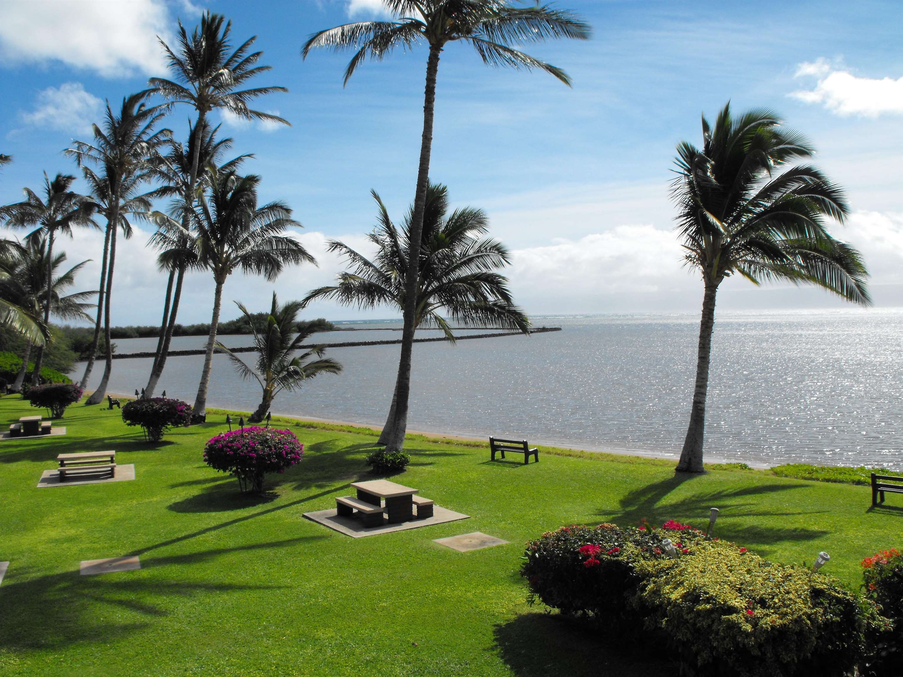 Kamehameha V Highway, Unit 123B Kaunakakai, HI 96748 - Photo 7 of 25 a view of a backyard
