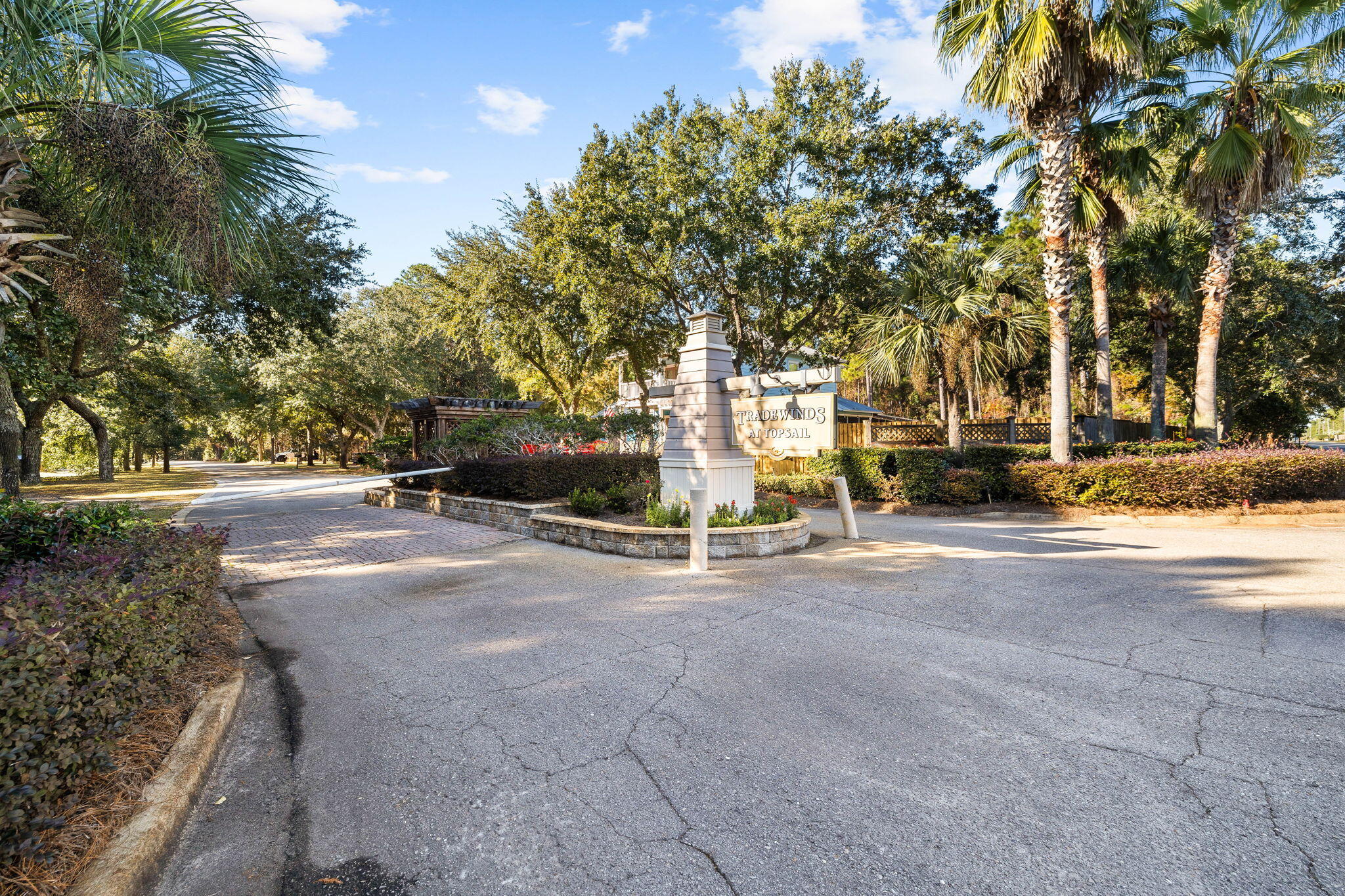 144 Preston Path Santa Rosa Beach, FL 32459 - Photo 3 of 60 a view of road with houses