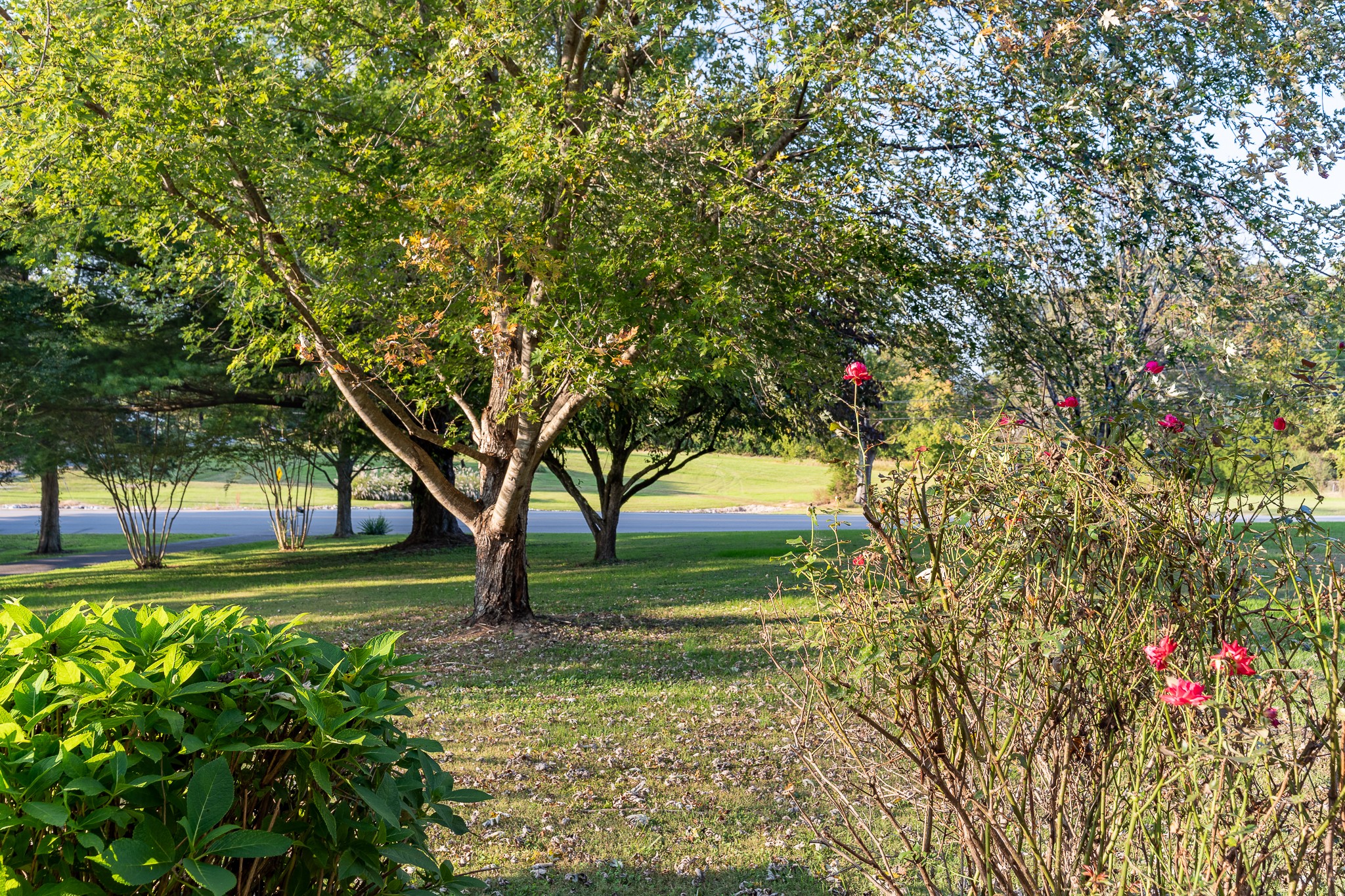 1521 Grandaddy Road Lawrenceburg, TN 38464 - Photo 28 of 44 Gallery Image 28