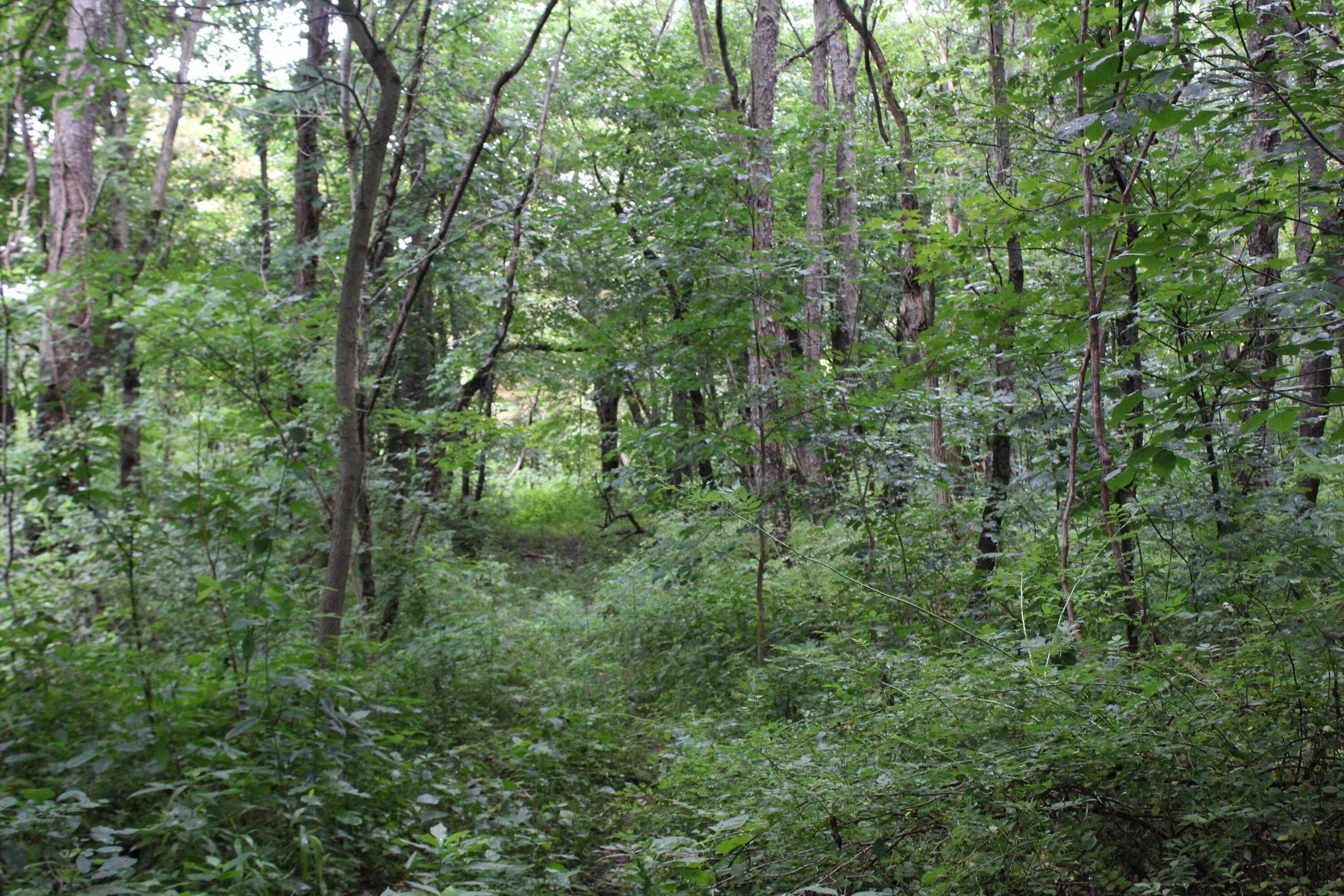 0 State Road Vermilion, OH 44089 - Photo 8 of 18 IMG_3407