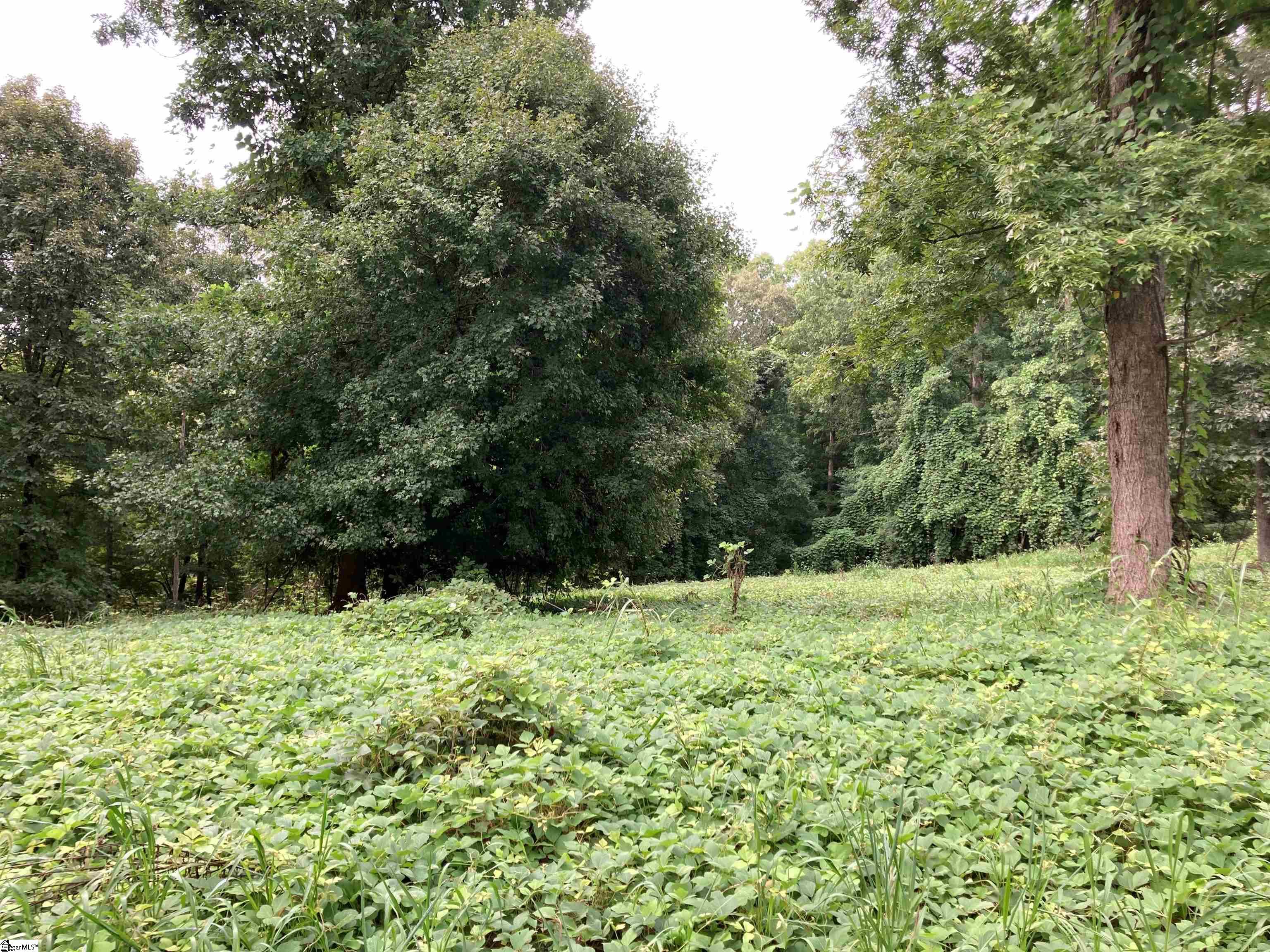 73 Acres On Todd Quarter Road Waterloo, SC 29384 - Photo 1 of 18