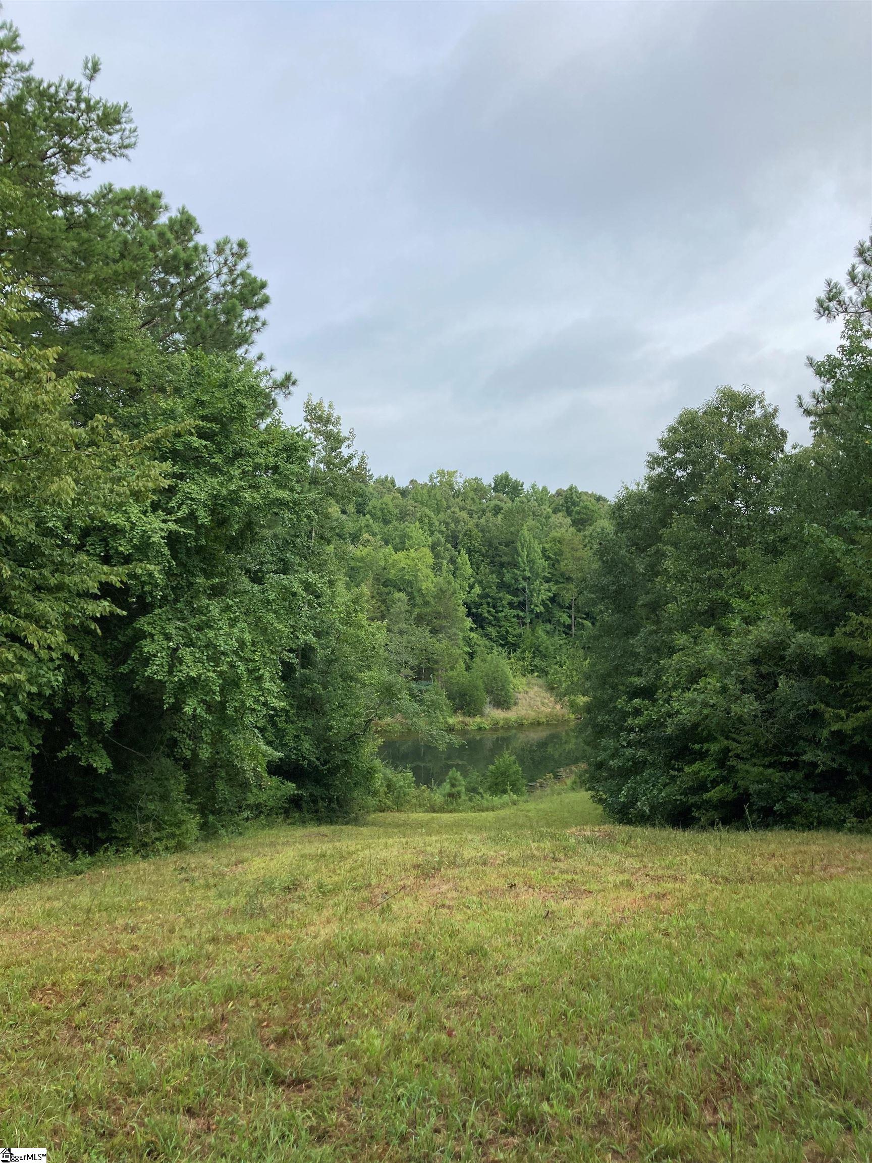 73 Acres On Todd Quarter Road Waterloo, SC 29384 - Photo 11 of 18