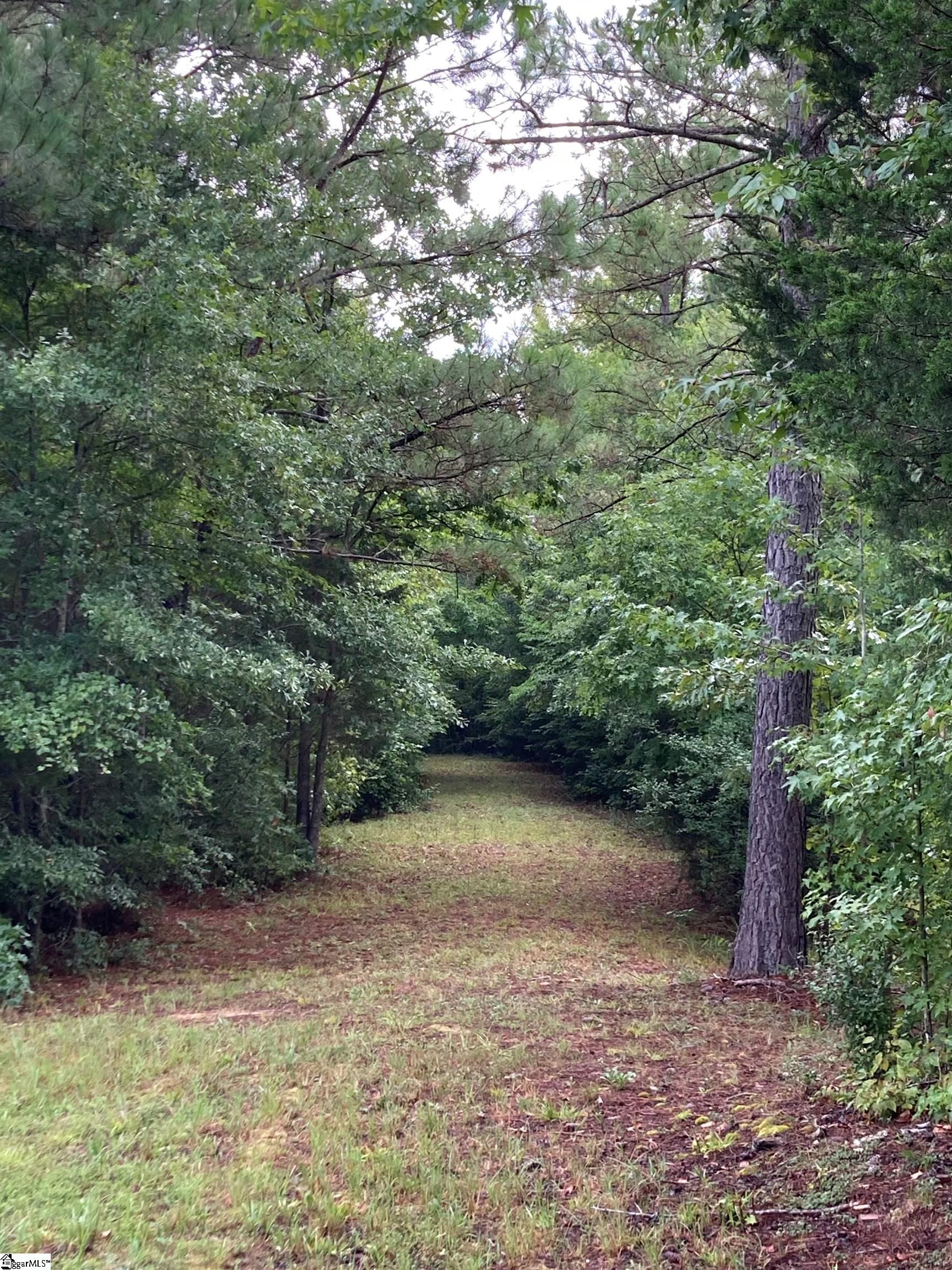 73 Acres On Todd Quarter Road Waterloo, SC 29384 - Photo 12 of 18