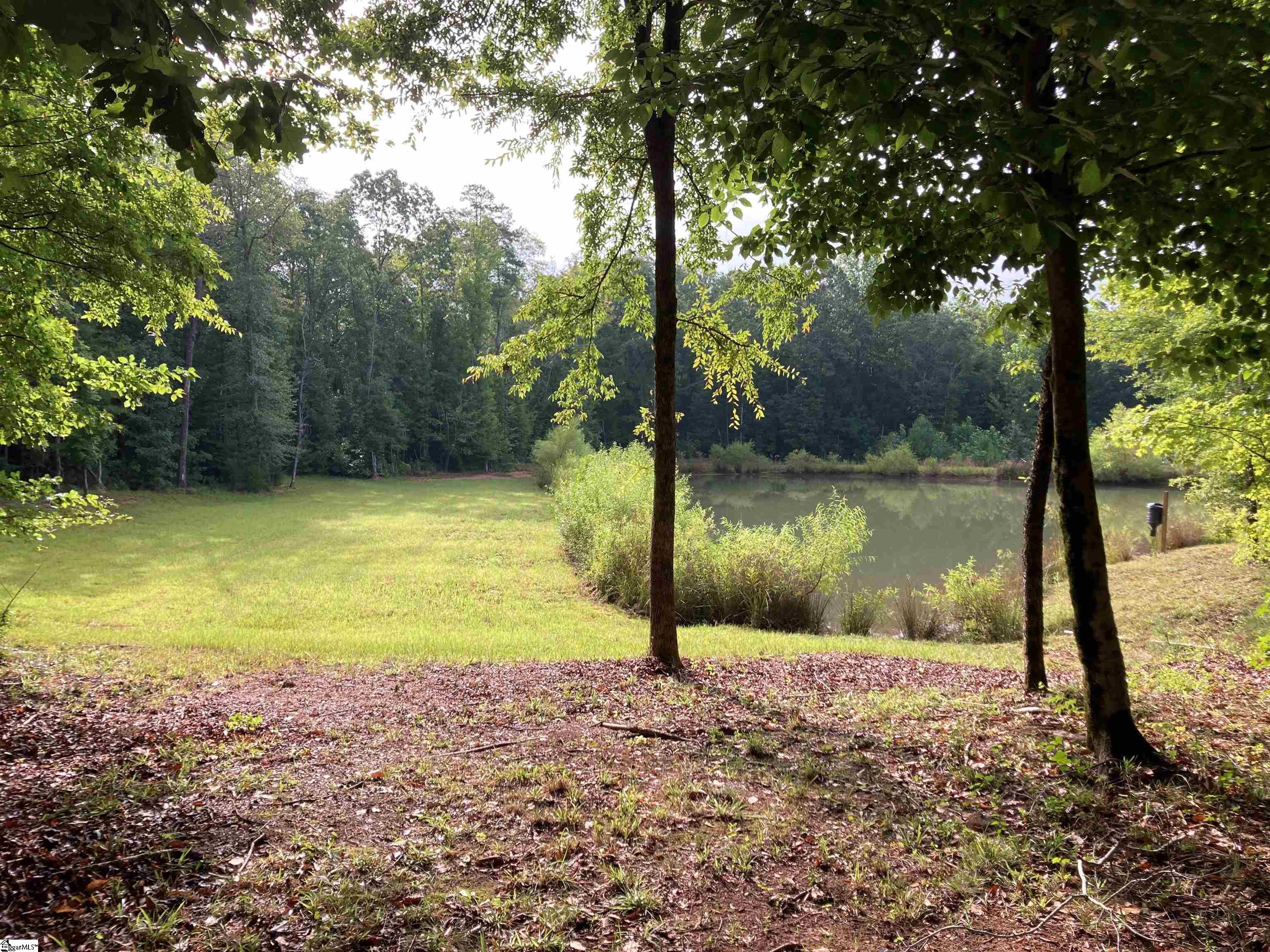 73 Acres On Todd Quarter Road Waterloo, SC 29384 - Photo 15 of 18