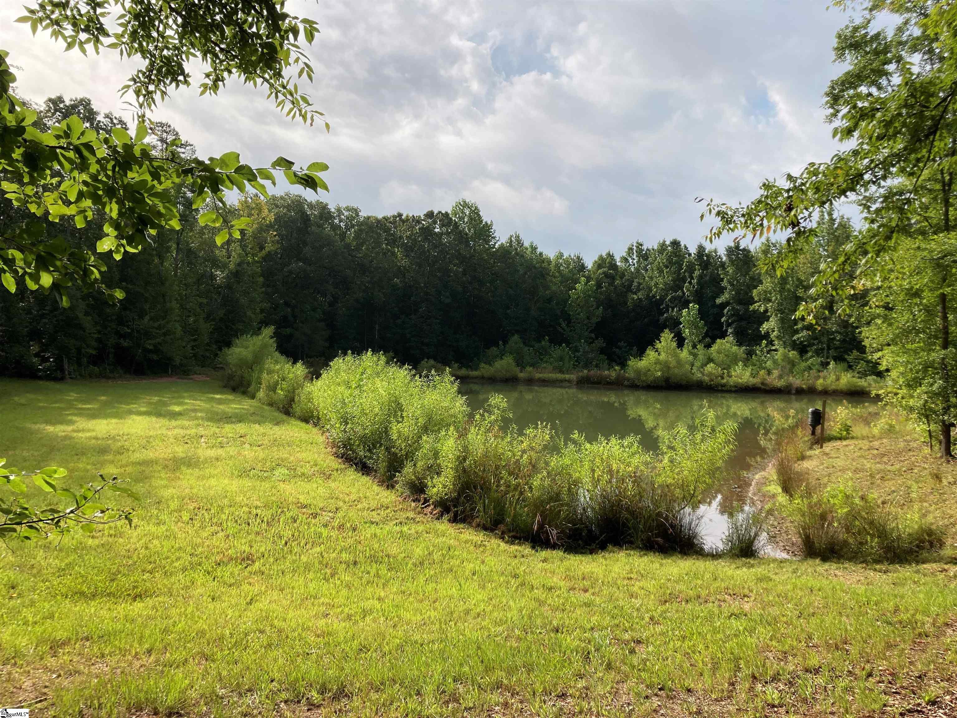 73 Acres On Todd Quarter Road Waterloo, SC 29384 - Photo 16 of 18