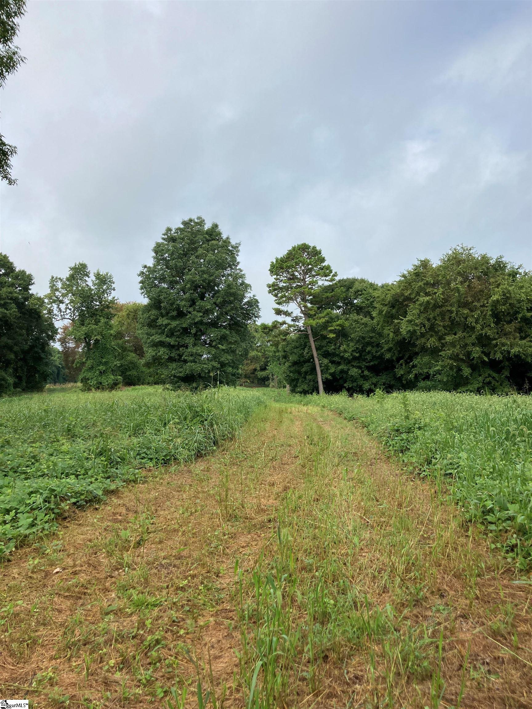 73 Acres On Todd Quarter Road Waterloo, SC 29384 - Photo 2 of 18