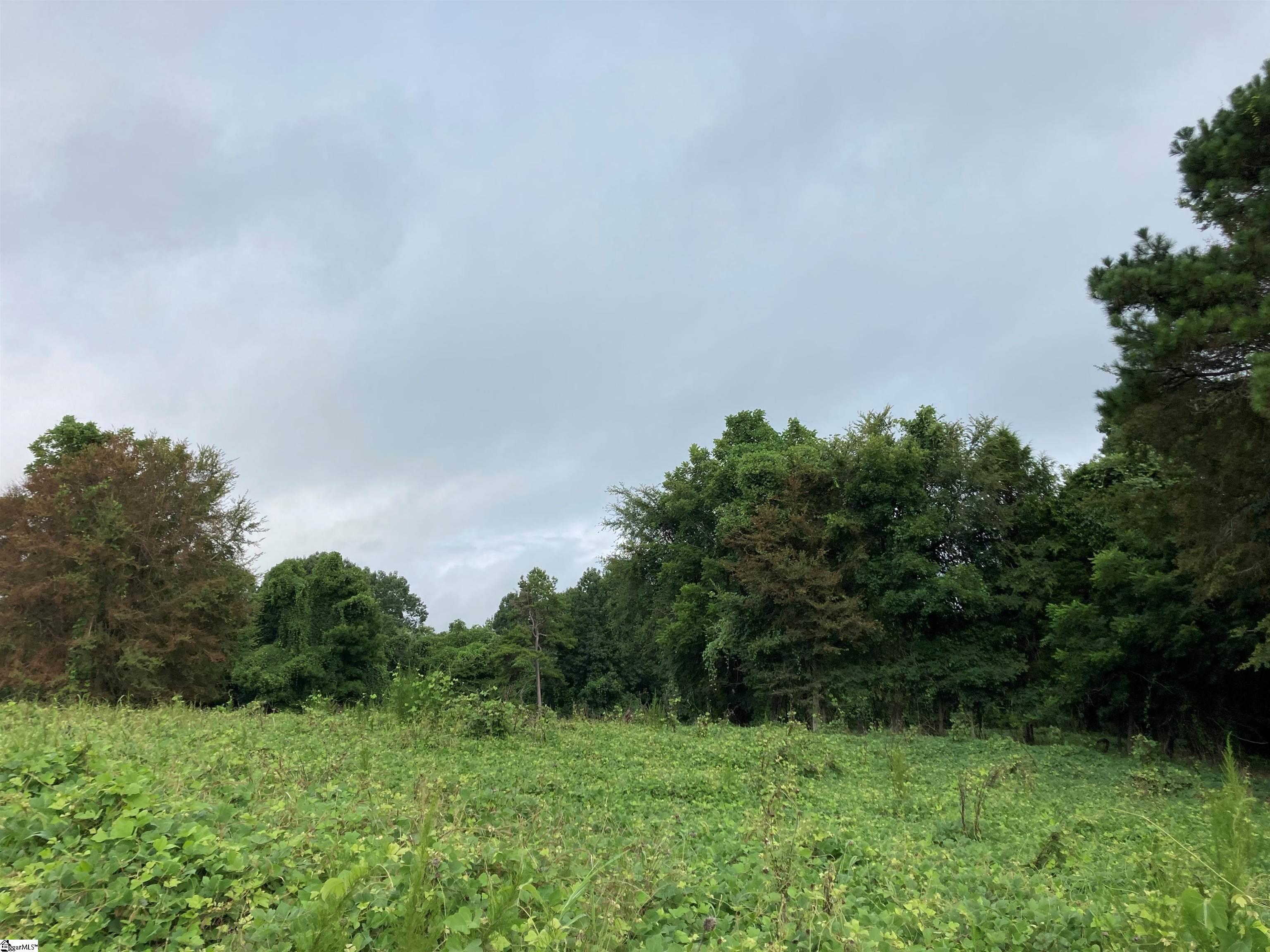 73 Acres On Todd Quarter Road Waterloo, SC 29384 - Photo 4 of 18