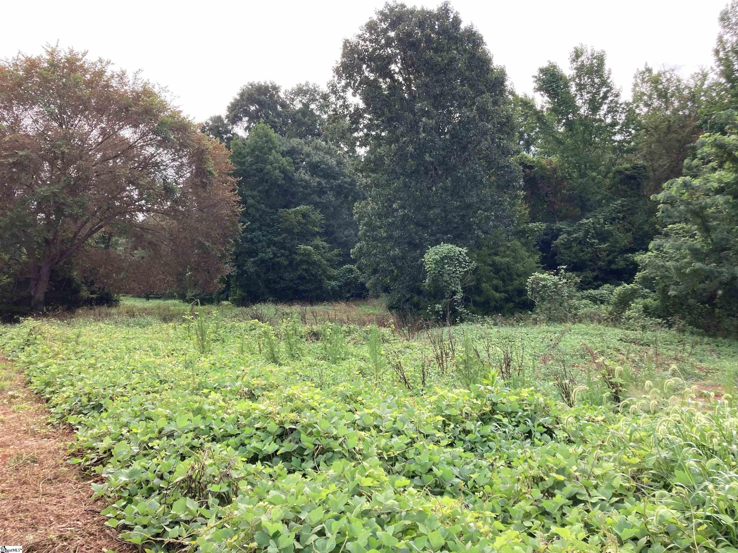 73 Acres On Todd Quarter Road Waterloo, SC 29384 - Photo 5 of 18