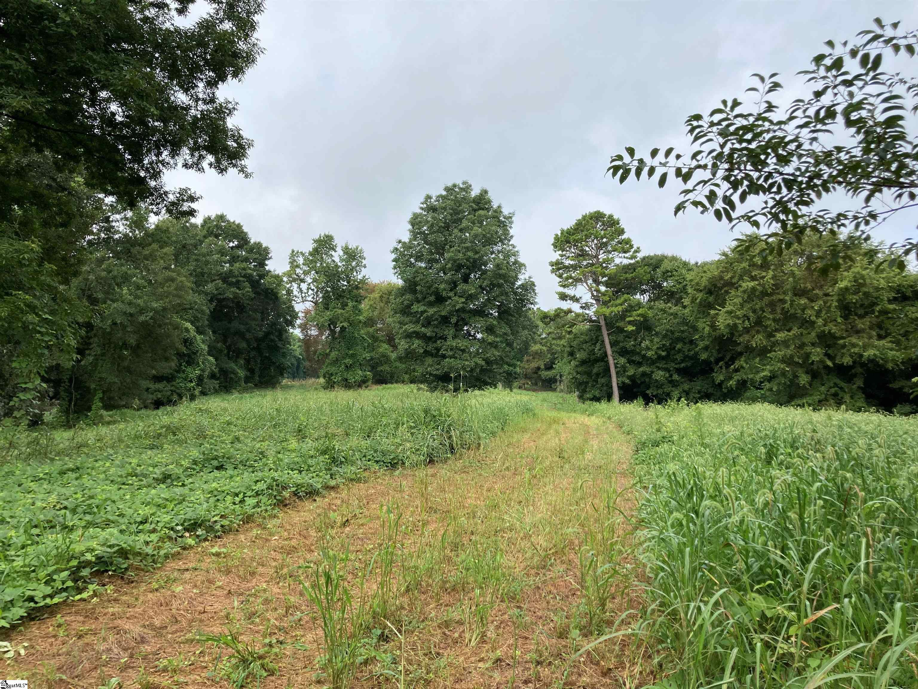73 Acres On Todd Quarter Road Waterloo, SC 29384 - Photo 6 of 18