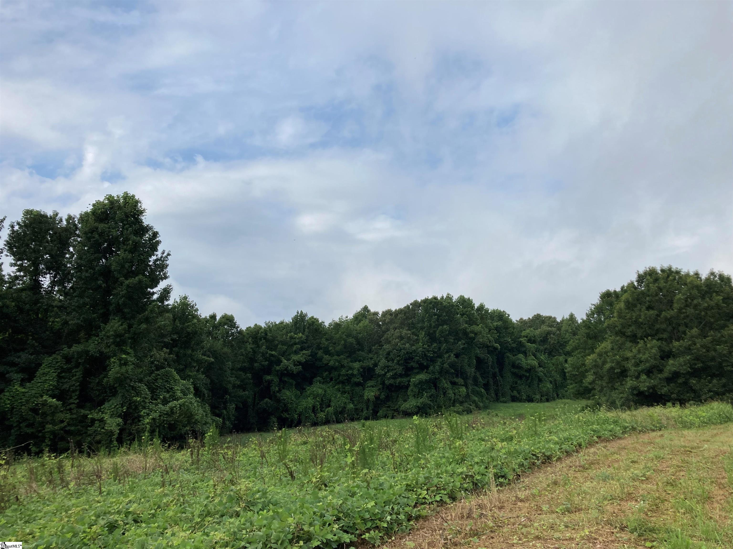 73 Acres On Todd Quarter Road Waterloo, SC 29384 - Photo 8 of 18