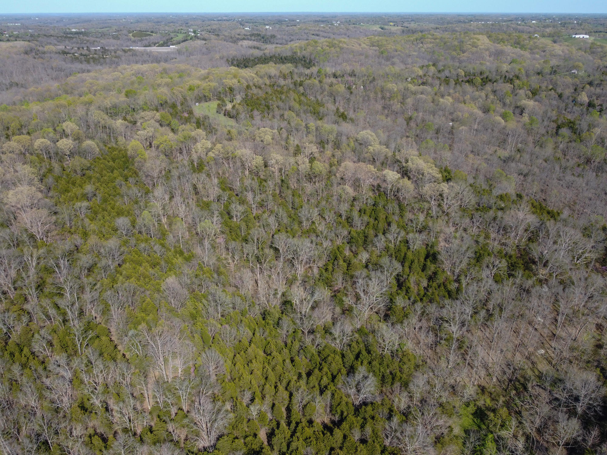 214-acres Keefer Road Corinth, KY 41010 - Photo 32 of 39 Keefer-35